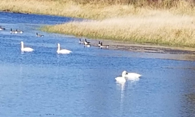 Presque Isle Chalet De Esquí | Horsehead Lake Retreat (Grandes descuentos en junio, llame al 414-378-7273)