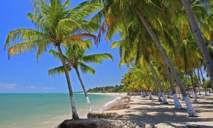 Paripueira Hotel | Hostel Pousada Flor de Paris