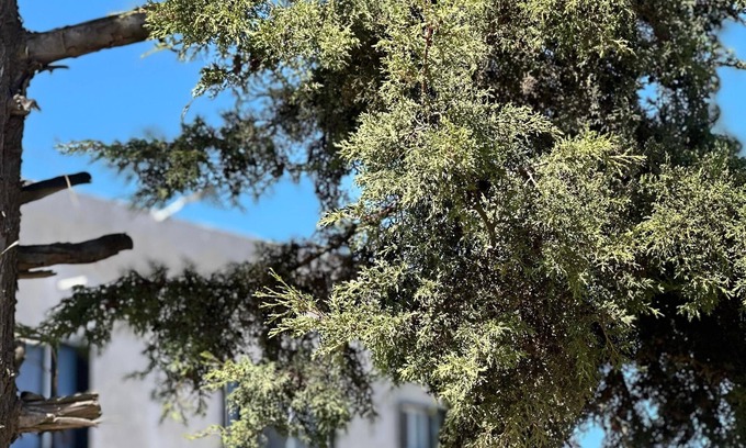 Chignahuapan Hotel | Hotel Caminos