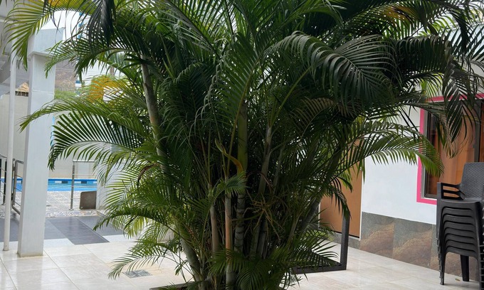 El Rodadero Hotel | Hotel Casa Mathilu