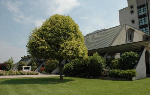 Faenza Hotel | Hotel Cavallino