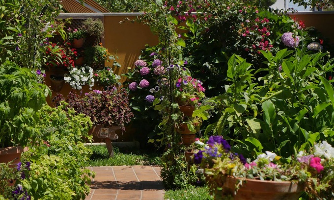 Sector I - El Inglesillo Hotel | Hotel Doñana Blues