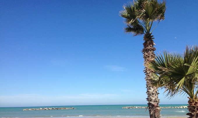 Porto San Giorgio Hotel | Hotel Gabbiano