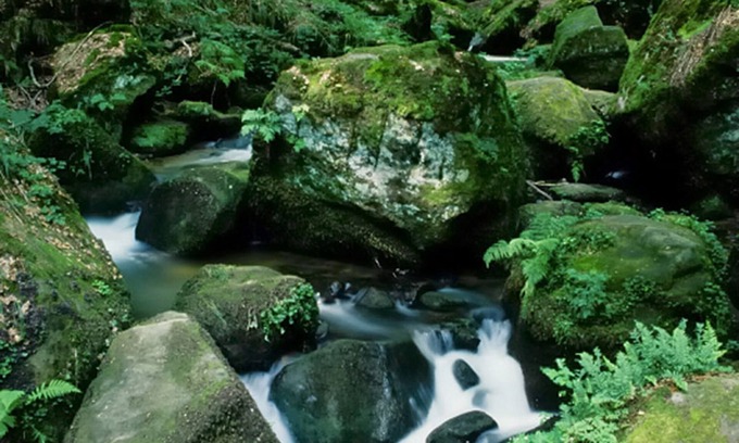 Bollendorf Hotel | Hotel Hauer