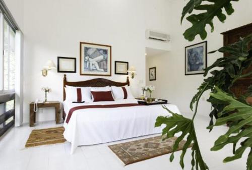 Palenque Hotel | Hotel Misión Palenque