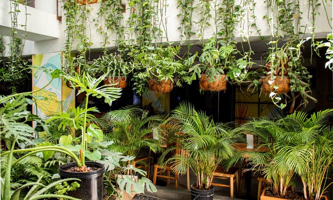 La Candelaria Hotel | Hotel Natural