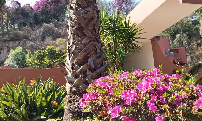 Vista Bella Hotel | HOTEL PUNTA GALERIA