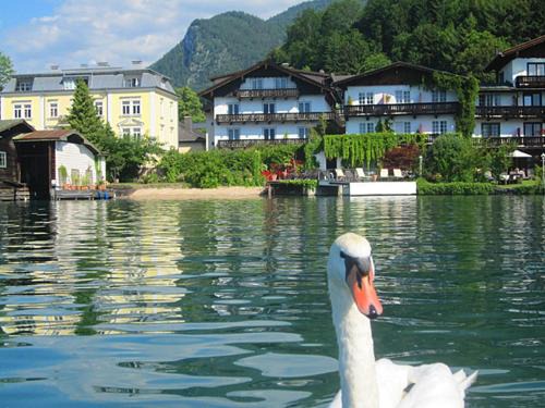 Sankt Wolfgang im Salzkammergut Hotel | Hotel Seerose Wolfgangsee