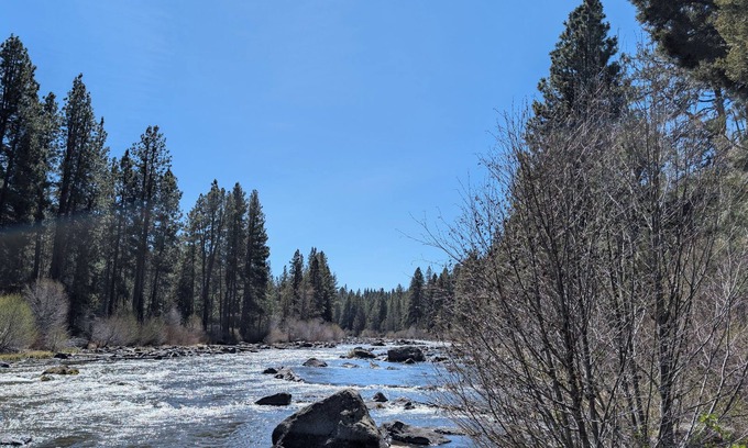 Century West Condominio | Hotel-Style, King Bed, Ground Floor Condo-328B