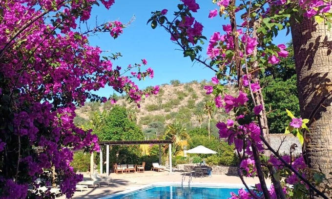 Puerto Escondido Hotel | Hotel Tripui