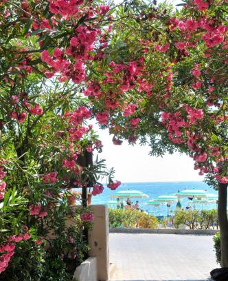 Naregno Hotel | Hotel Villa Rodriguez