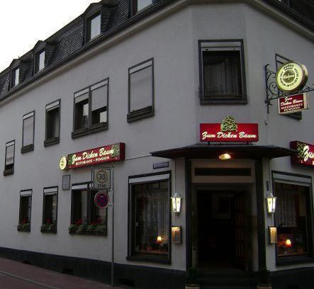 Mayen Casa | Hotel zum dicken Baum
