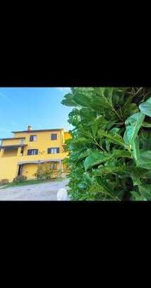 Bagnoregio Casa | House La Torricella