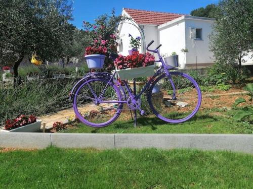 Raslina Casa | House Marie?s Lavander Dream