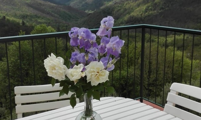 Zignago Apartamento | Zignago: Casa Rural - Zignago