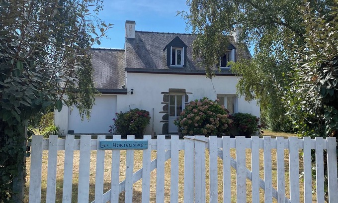 Groix Casa | Hydrangeas