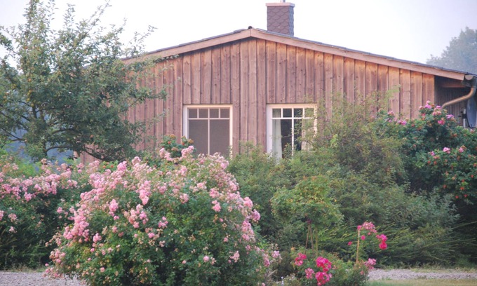 Wisch Casa | Idyllic vacation home on the Baltic Sea with sauna and fireplace