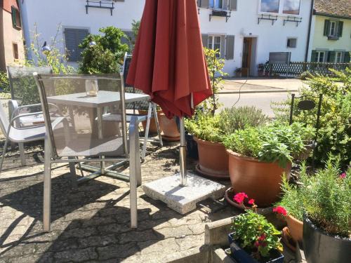 Ermatingen Apartamento | Idyllische Ferienwohnung am See