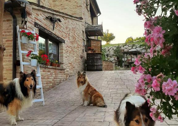 Montefano Casa | Il Casale dell'Acquabona
