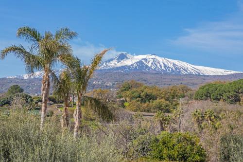 Piedimonte Etneo Apartamento | Il Comandante