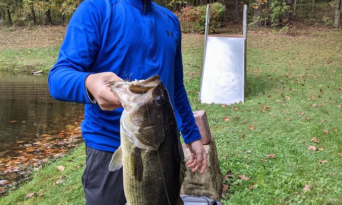 Somerdale Cabina | RETREAT LODGE + GRANJA DE BODAS EN EL PAÍS CLÁSICO + 100 ACRES = HeartlandonHeritage