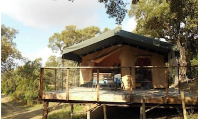 Pinarellu Cabina | Immortal Lodges