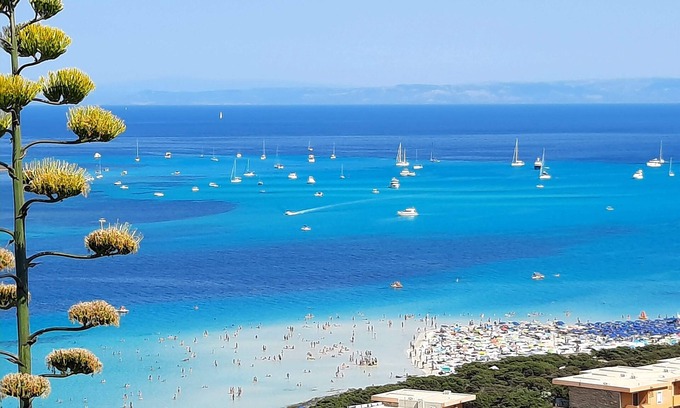 La Pelosa Casa | In the sea of Stintino