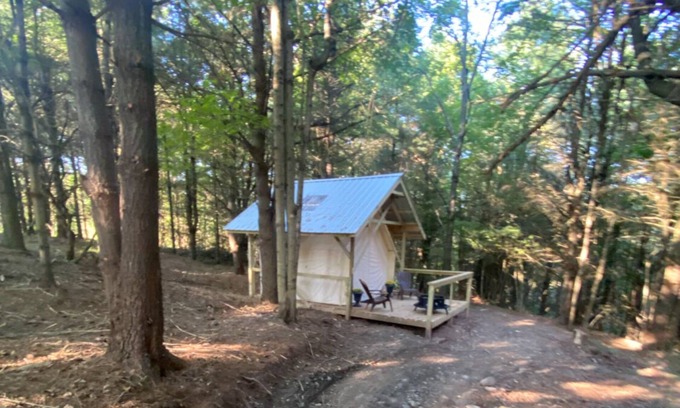 Otego Cabina | Indulge in our Forest Retreat