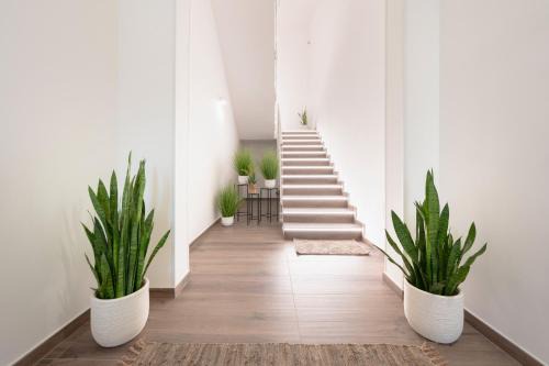 Castri di Lecce Casa | Ingrosso Suites in Salento