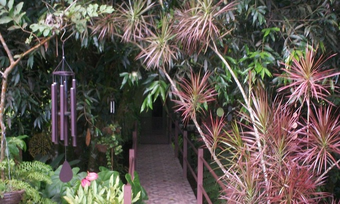 Aguas Zarcas Casa | Casita in a little jungle