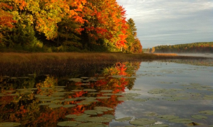 Mariaville Cabaña | Cabaña recientemente renovada cerca del parque nacional Acadia