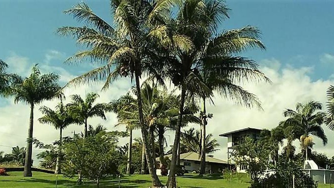 Papaikou Casa | Island Goode's - Luxury Adult Only Accommodation near Hilo