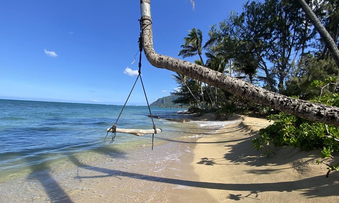 Punaluu Condominio | Island Life Retreat-Ocean Front-Beach Access