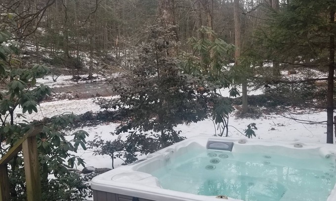 Catawissa Cabaña | Ivy Cottage -Central Pennsylvania-Creekside