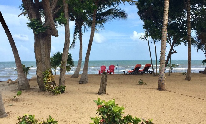 Río Sittee Casa | Jan's Beach Cabana / Hopkins- Frente a la playa privada con espacioso interior