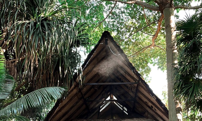 Área del bulevar Barra Vieja Hotel | Jardín Secreto Centro Holístico