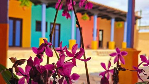 Comitán de Domínguez Hotel | Jazmin Hotel Boutique Colonial