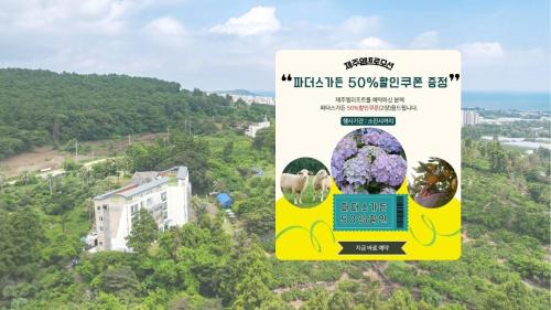 Daecheon-dong Complejo | Jeju M Resort