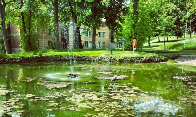 Sheffield Hotel | Jonas Hotel