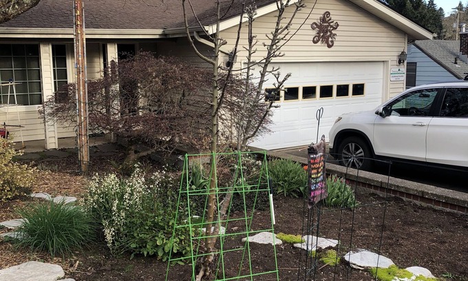 Friendly Casa | Alquiler de julio y agosto. College Hill / Barrio amigable. 4 habitaciones 3 baños