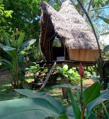 Puerto Narino Otro | Jungle Cabin - Satori Natural
