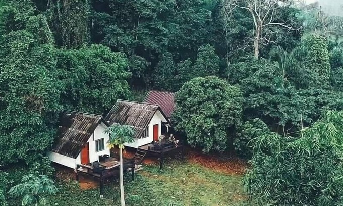 Pangmapha Casa | Jungle guest house