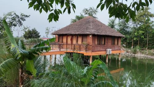 Palia Hotel | Jungle Heritage Resort