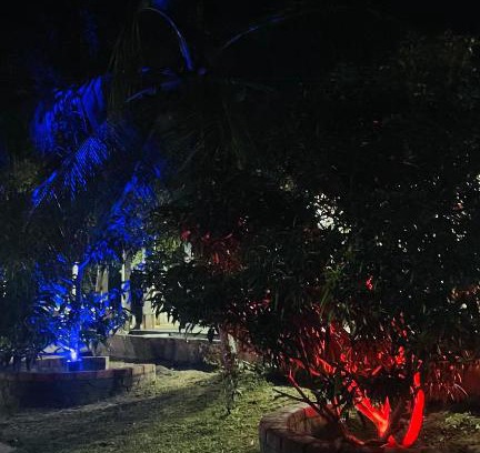 Beliatta Hotel | Jungle Land Kabana & Hotel