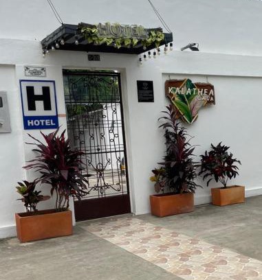 Tocaima Hotel | Kalathea Casa