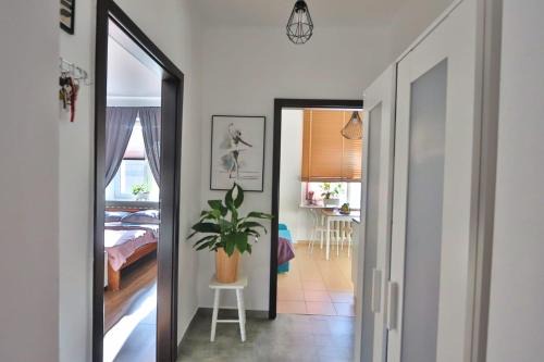 Hel Apartamento | KaliSea
