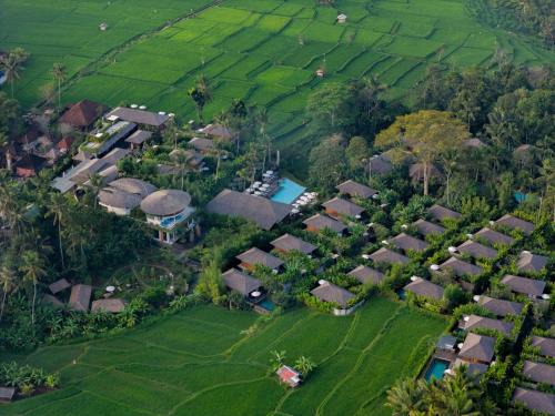 Kedewatan Complejo | Kappa Senses Ubud