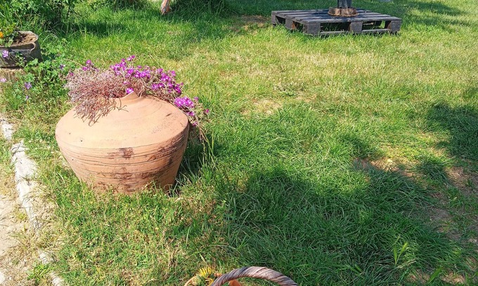 Gokceada Hotel | Kardeliz Butik Otel