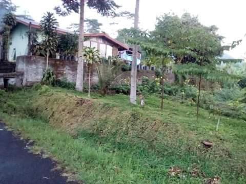 Ruteng Chalet De Esquí | Karleta Homestay