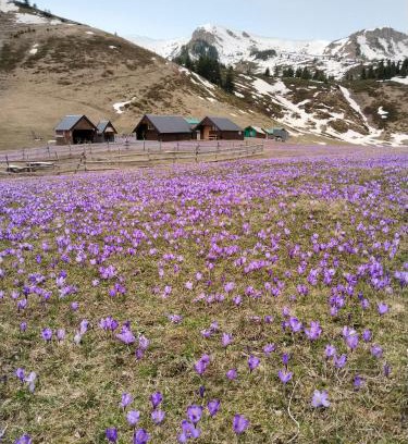 Montenegro Chalet De Esquí | Katun Siska Medna Dolina
